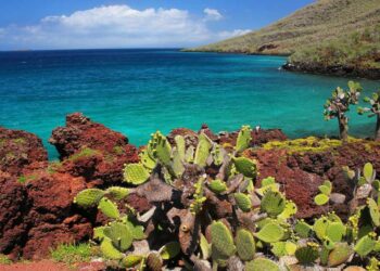 Difference between an island-hopping tour and a cruise in the Galápagos ...